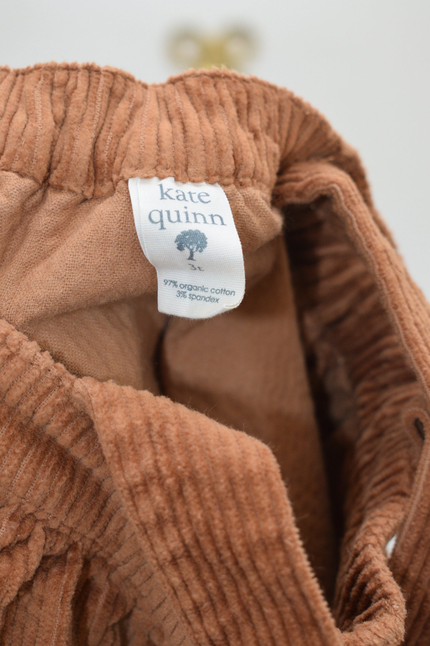 Kate Quinn Organics Pinafore Dress / 3T