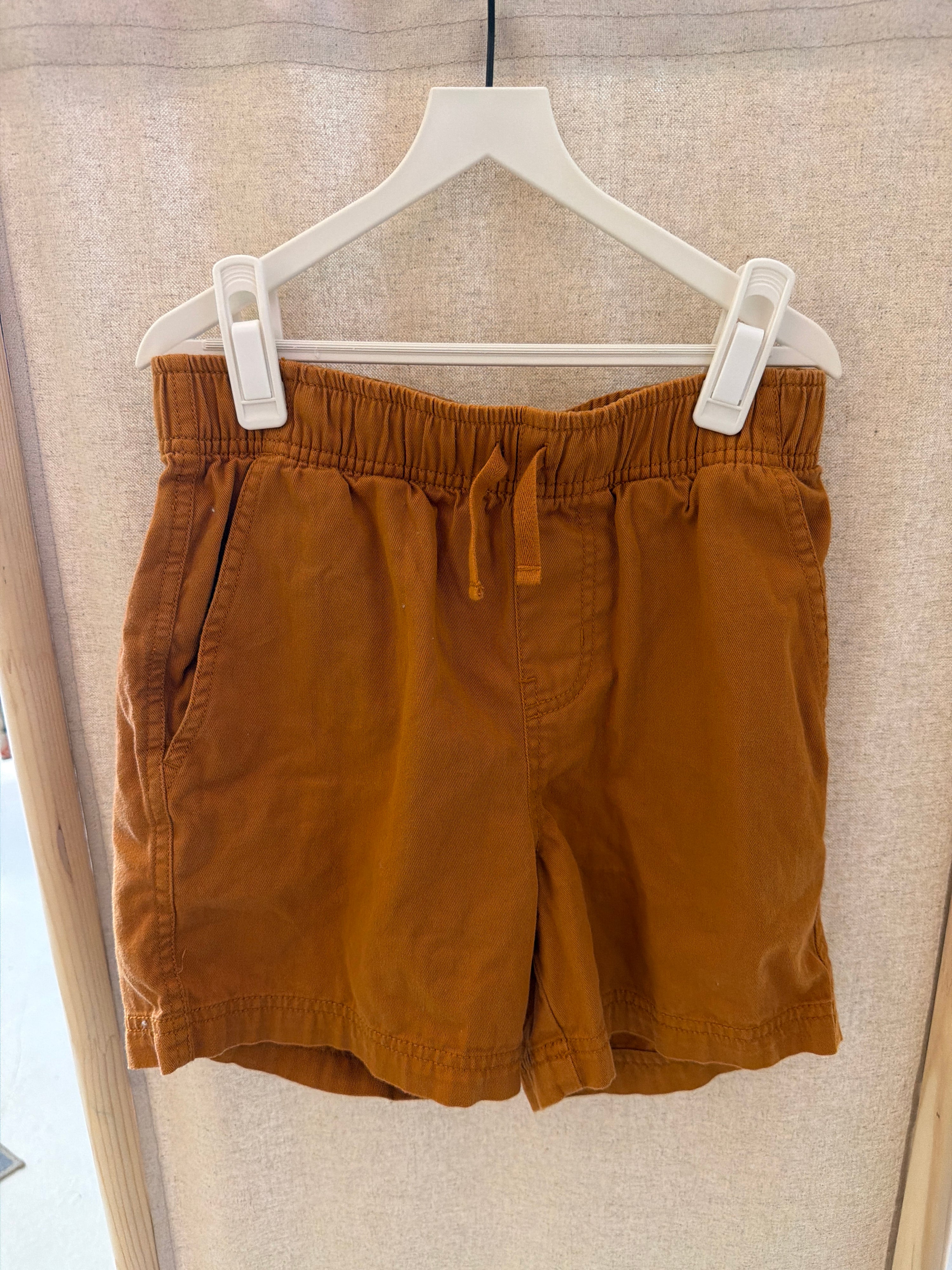 tea brown shorts 12