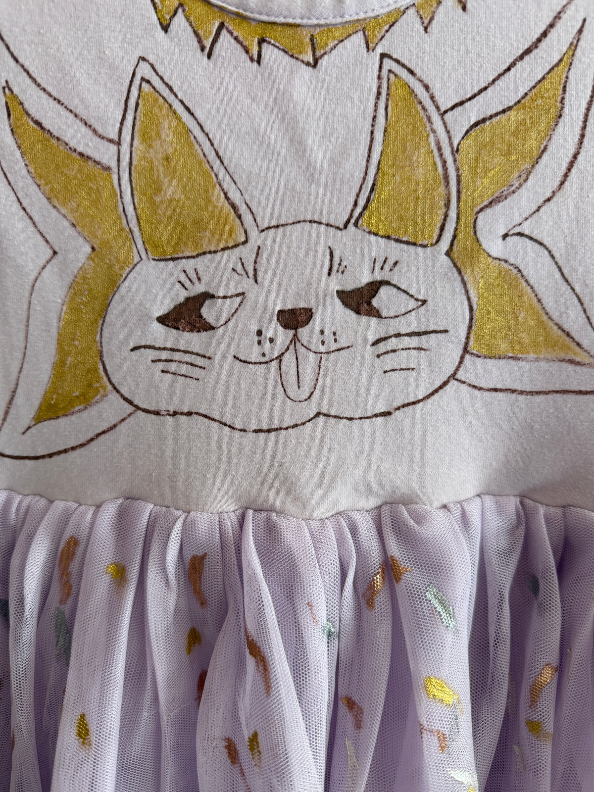 Hand Painted Cat Hanna Andersson Lavender Tutu Dress / 5