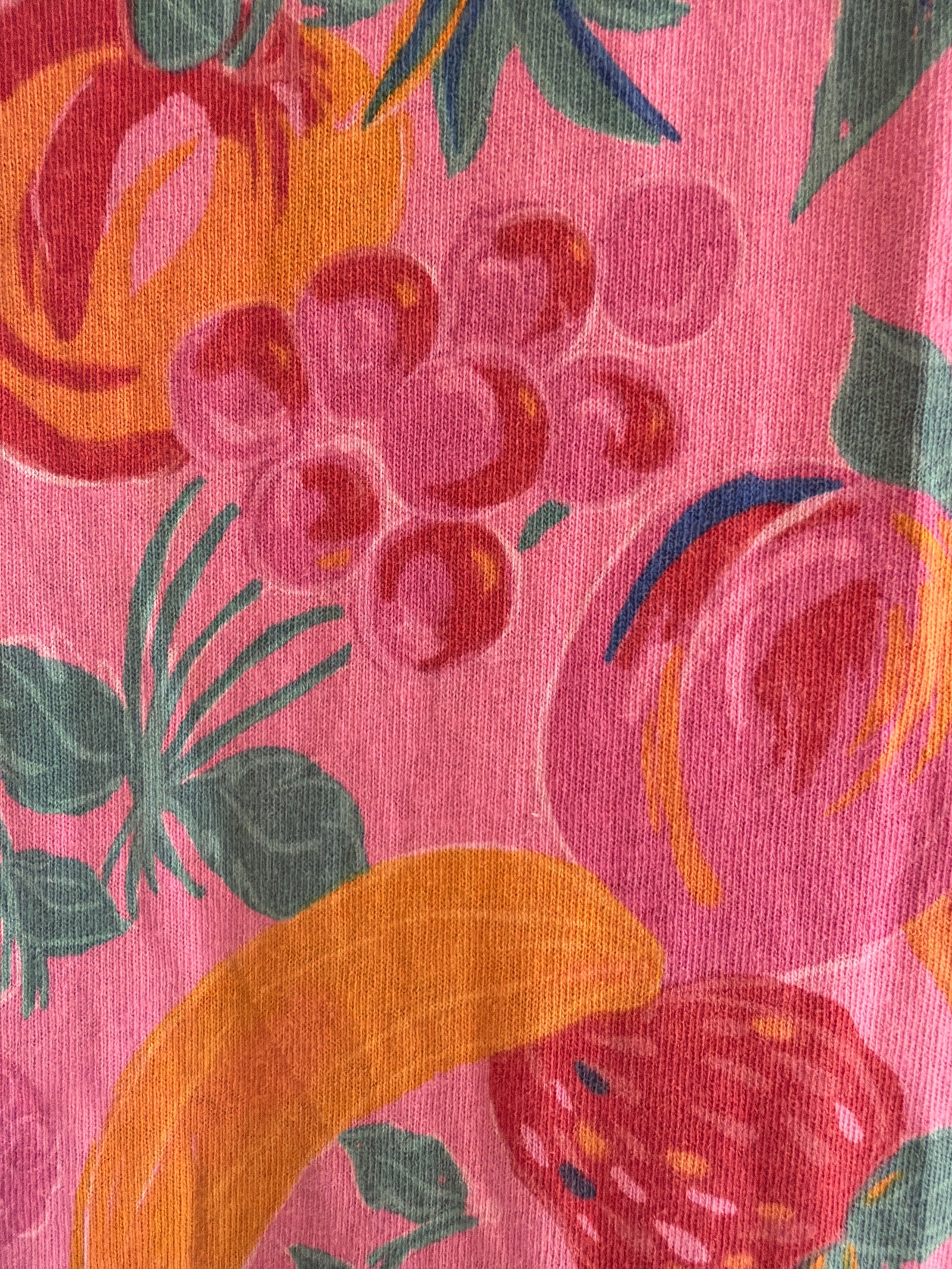 Cotton Kidz Bright Fruit Print with Pink Drop Waist Ruffle Skirt Dress / 6