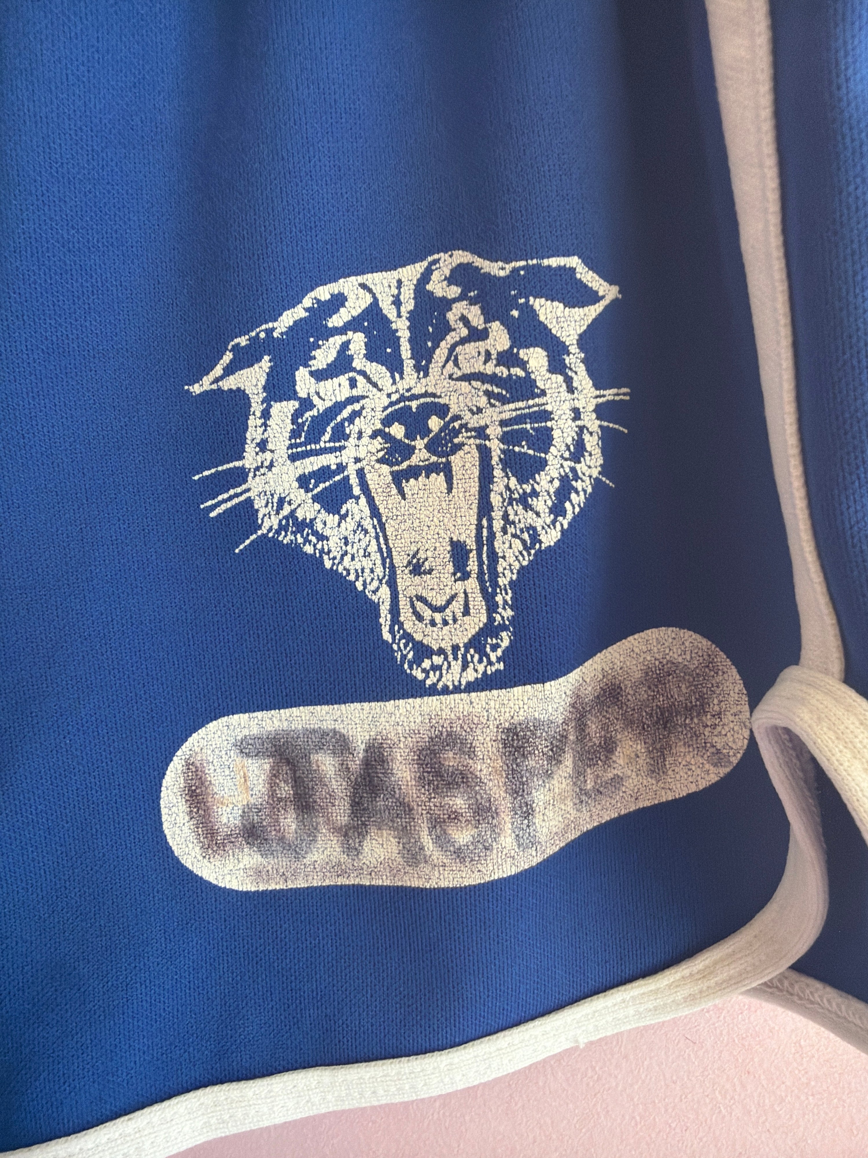 vintage champion Blue Shorts / 5