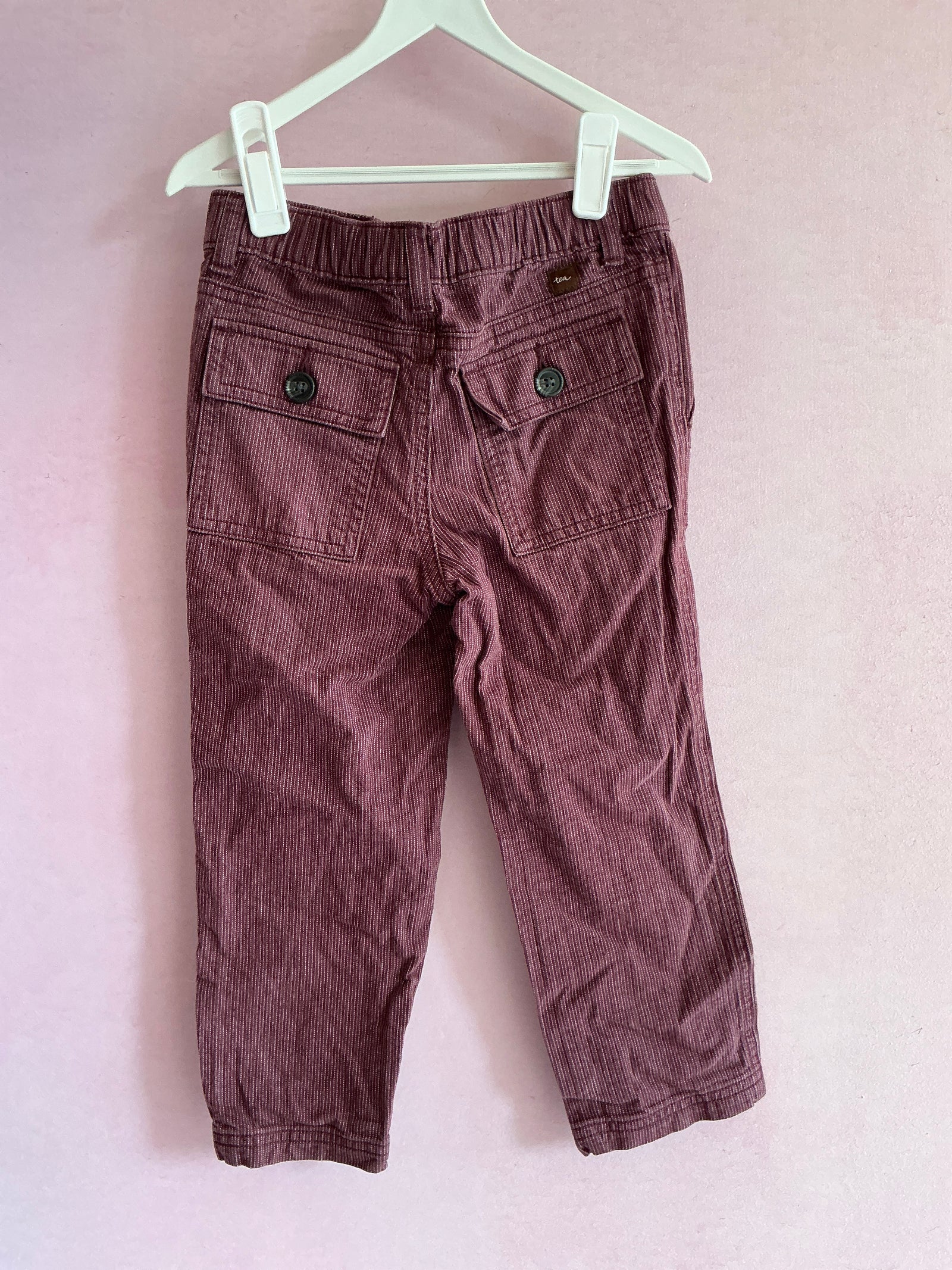 tea Burgundy Pants / 4