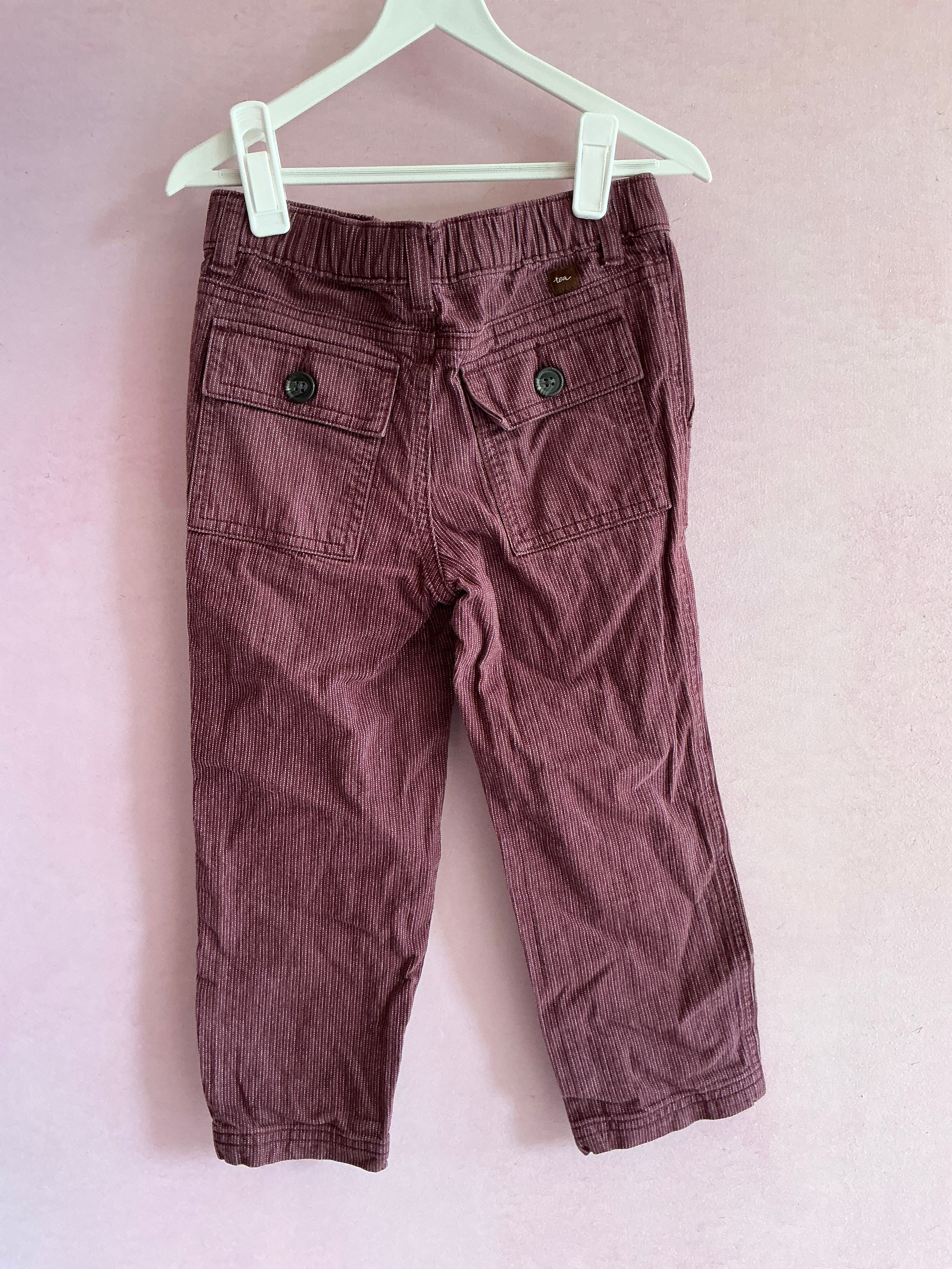 tea Burgundy Pants / 4