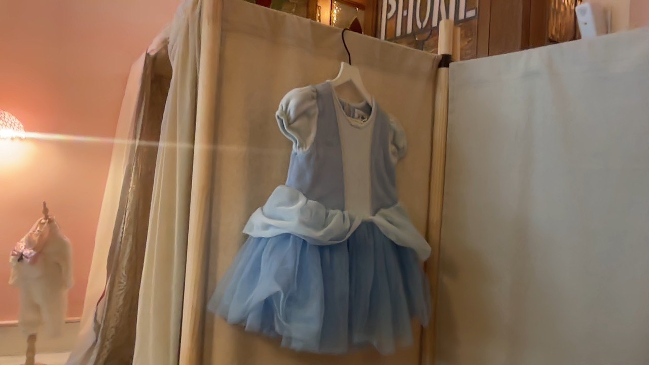 Disney Cinderella Dress / 18-24 months