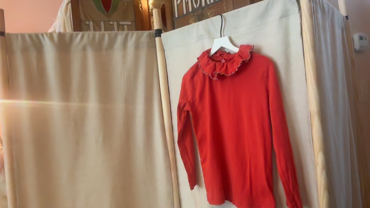 Misha & Puff Hot Brick Ruffle Neck Blouse / 7