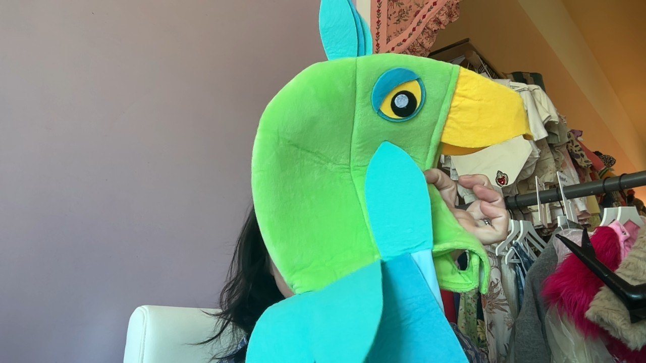 The Pottery Barn Bird! costume / One Size