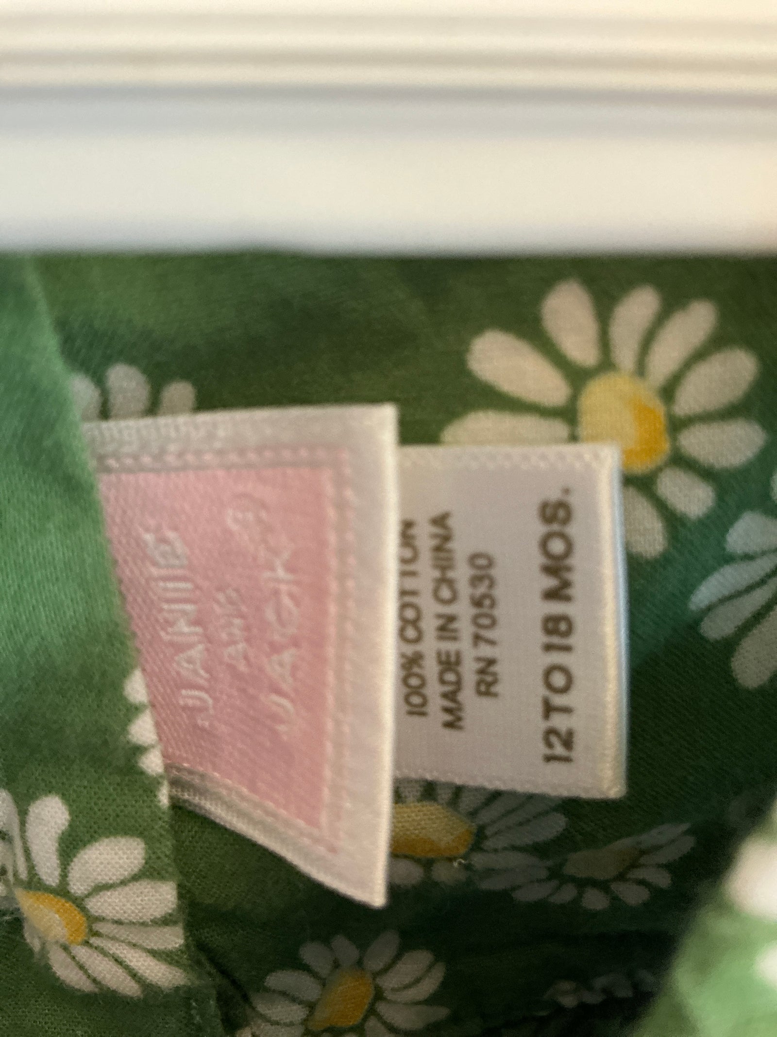 Janie and Jack Green Daisy Garden Dress / 12-18 months