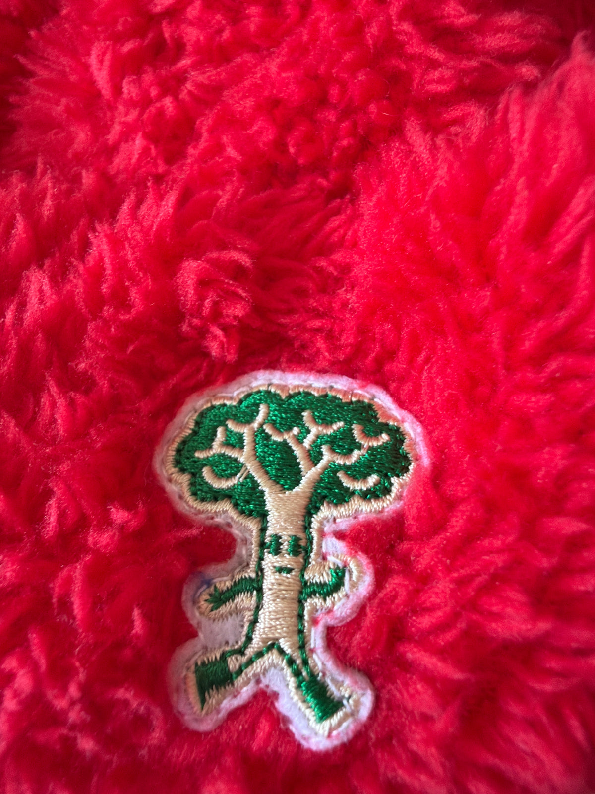 Tinycottons Broccoli fisherman / 6-12 months