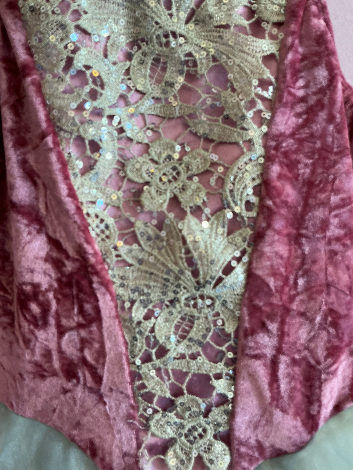 Revolution Dancewear Pink Velvet with Floral Lace Trim Tutu Dress / Child Large