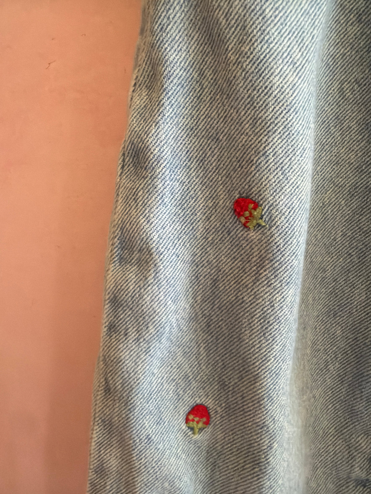 zara Strawberry Jeans / 18-24 months