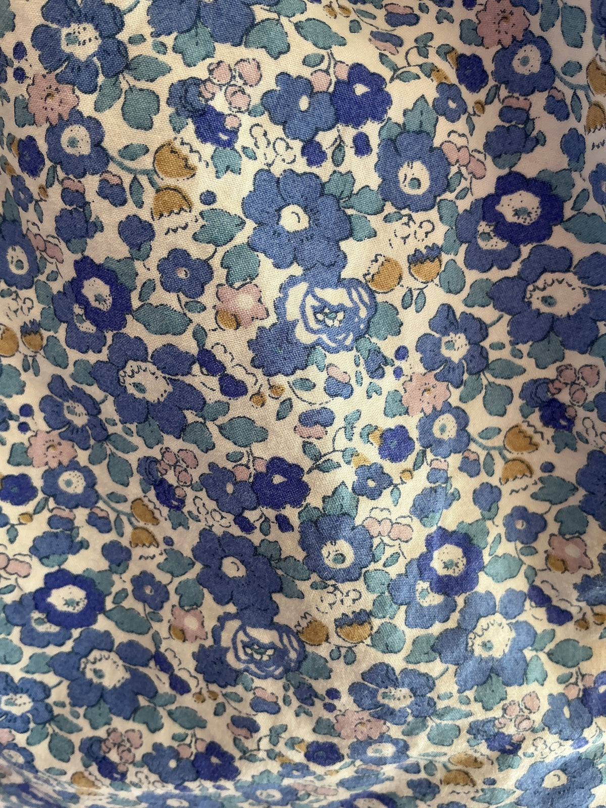 Janie and Jack Blue and White Floral Shorts / 5