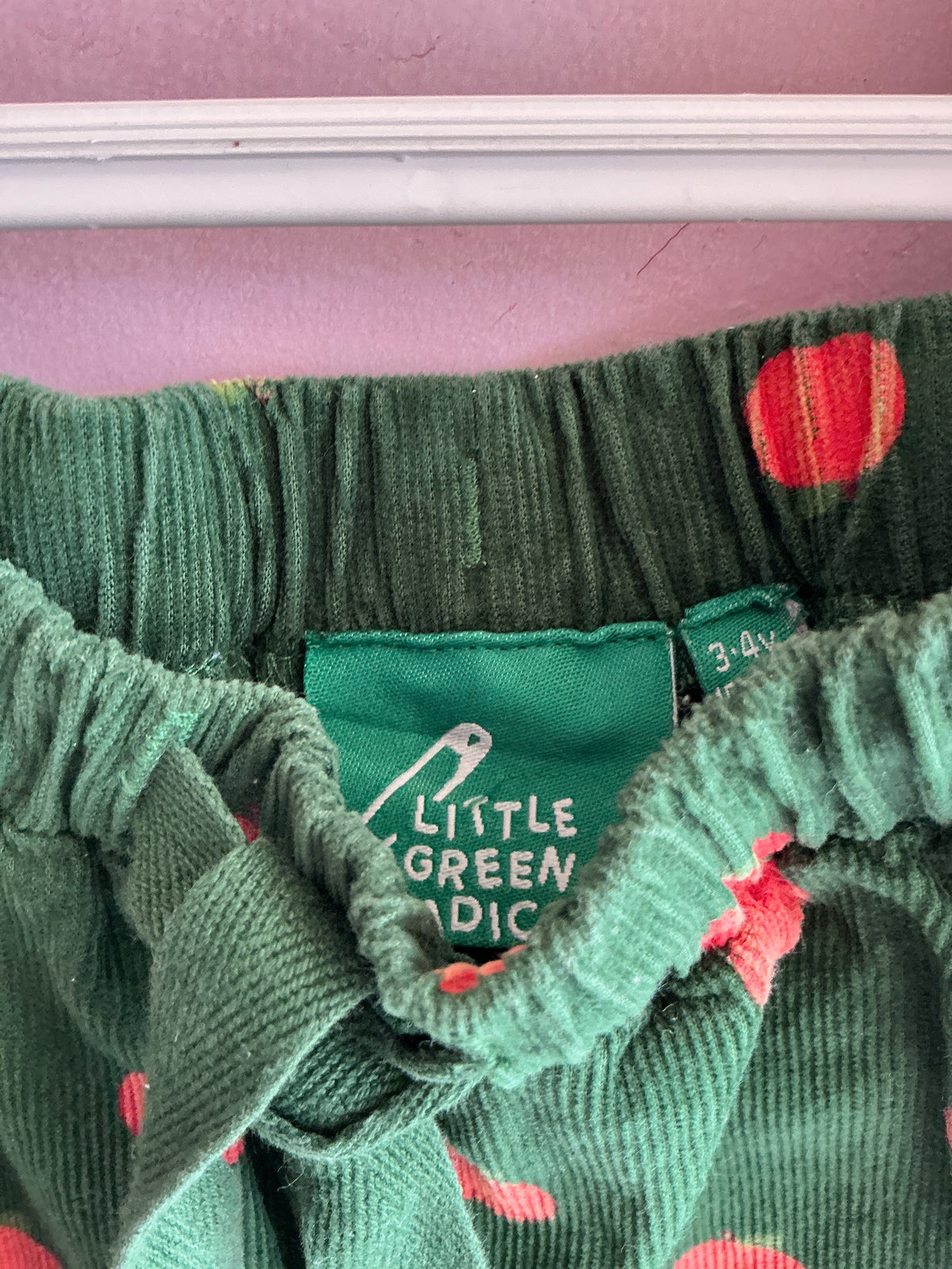 Little Green Radicals Green Peach Pants / 3-4 Years