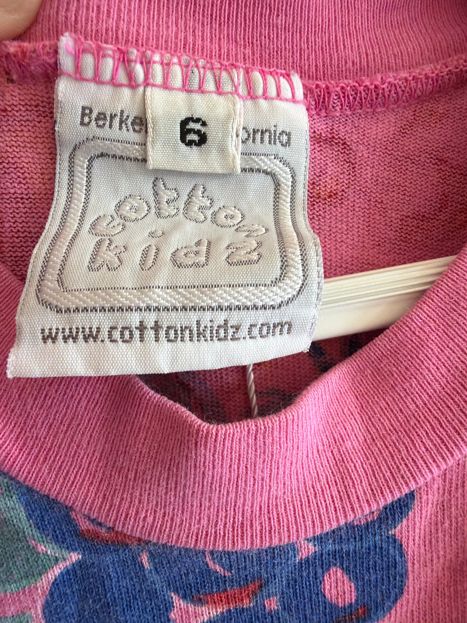 Cotton Kidz Bright Fruit Print with Pink Drop Waist Ruffle Skirt Dress / 6