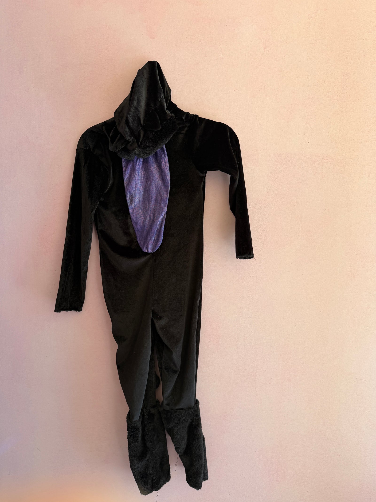 Black Cat Costume