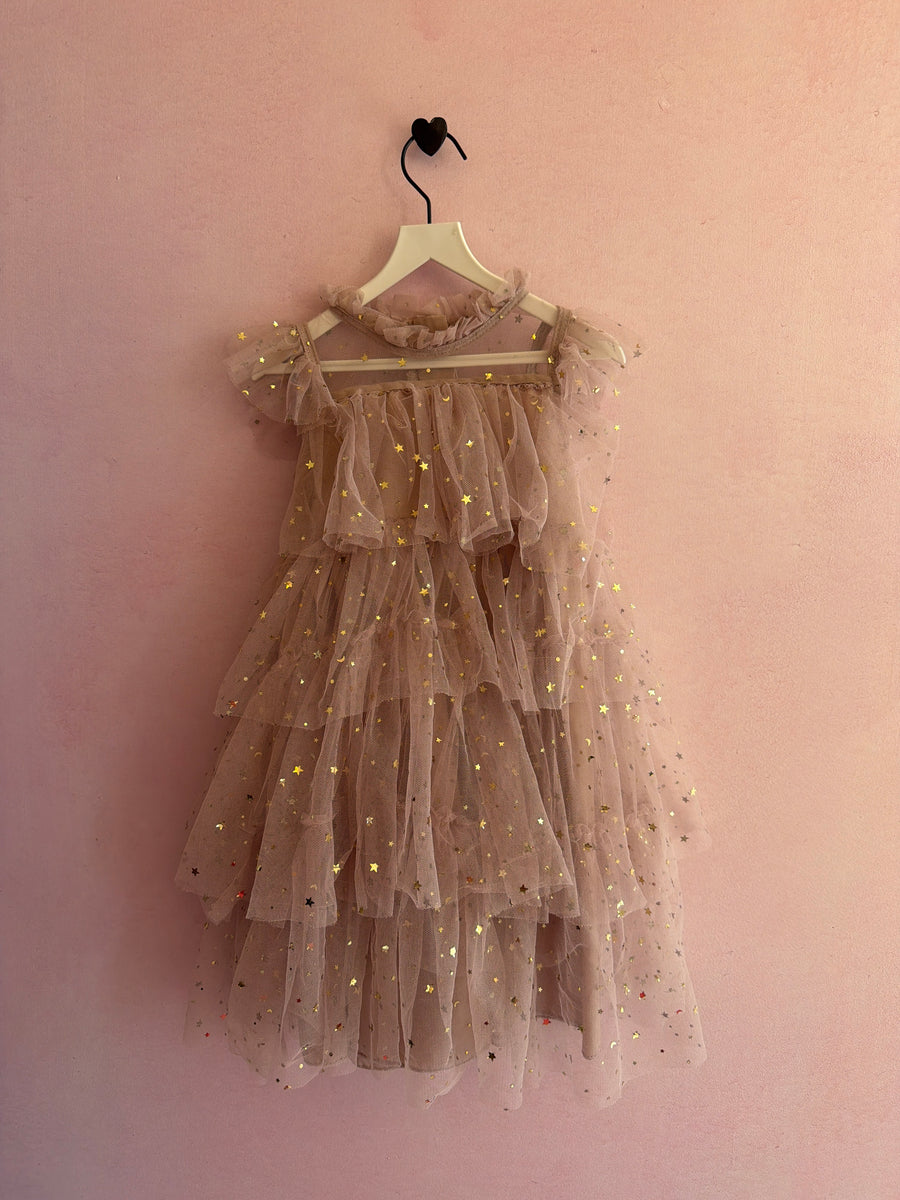 Mauve with Confetti Sequin Stars Dress / 3-4