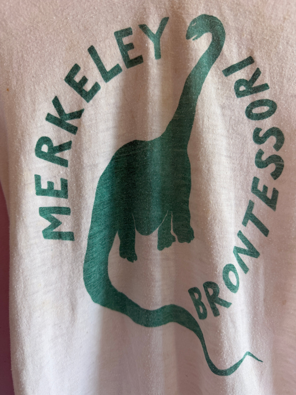 vintage berkeley montessori T-Shirt / 4