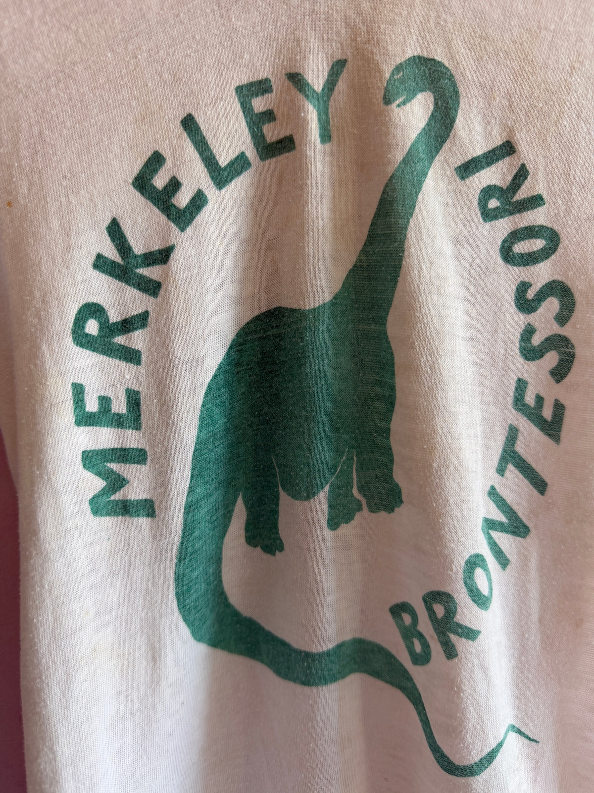 vintage berkeley montessori T-Shirt / 4