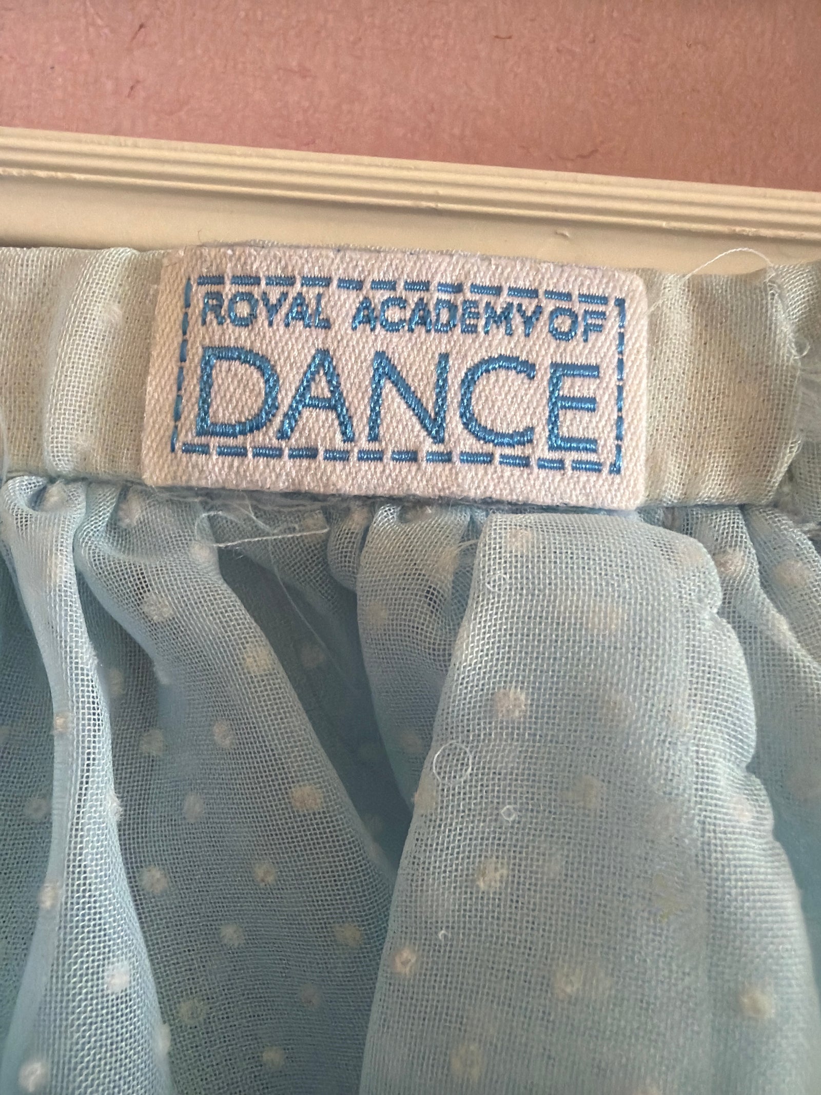 The Royal Academy of Dance Skirt / Youth L