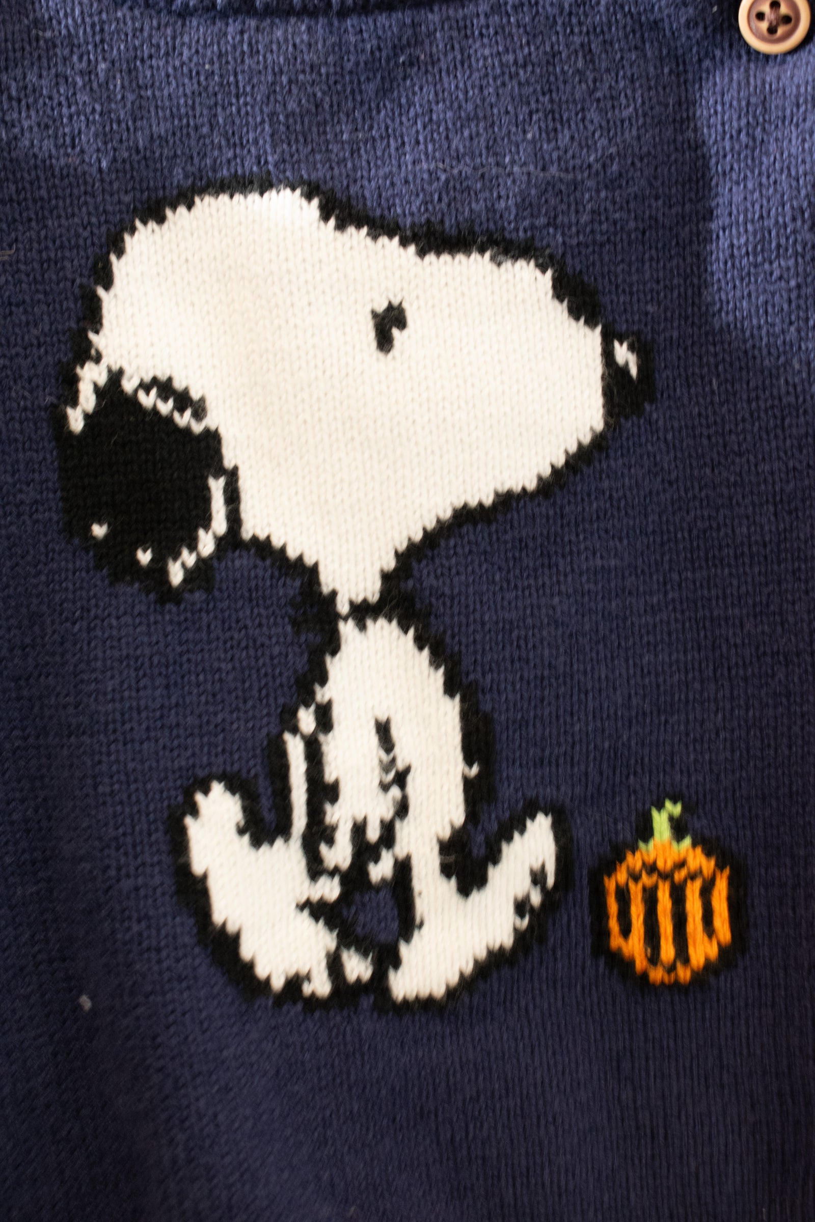 Janie and Jack Snoopy Pumpkin Sweater / 6-12 months