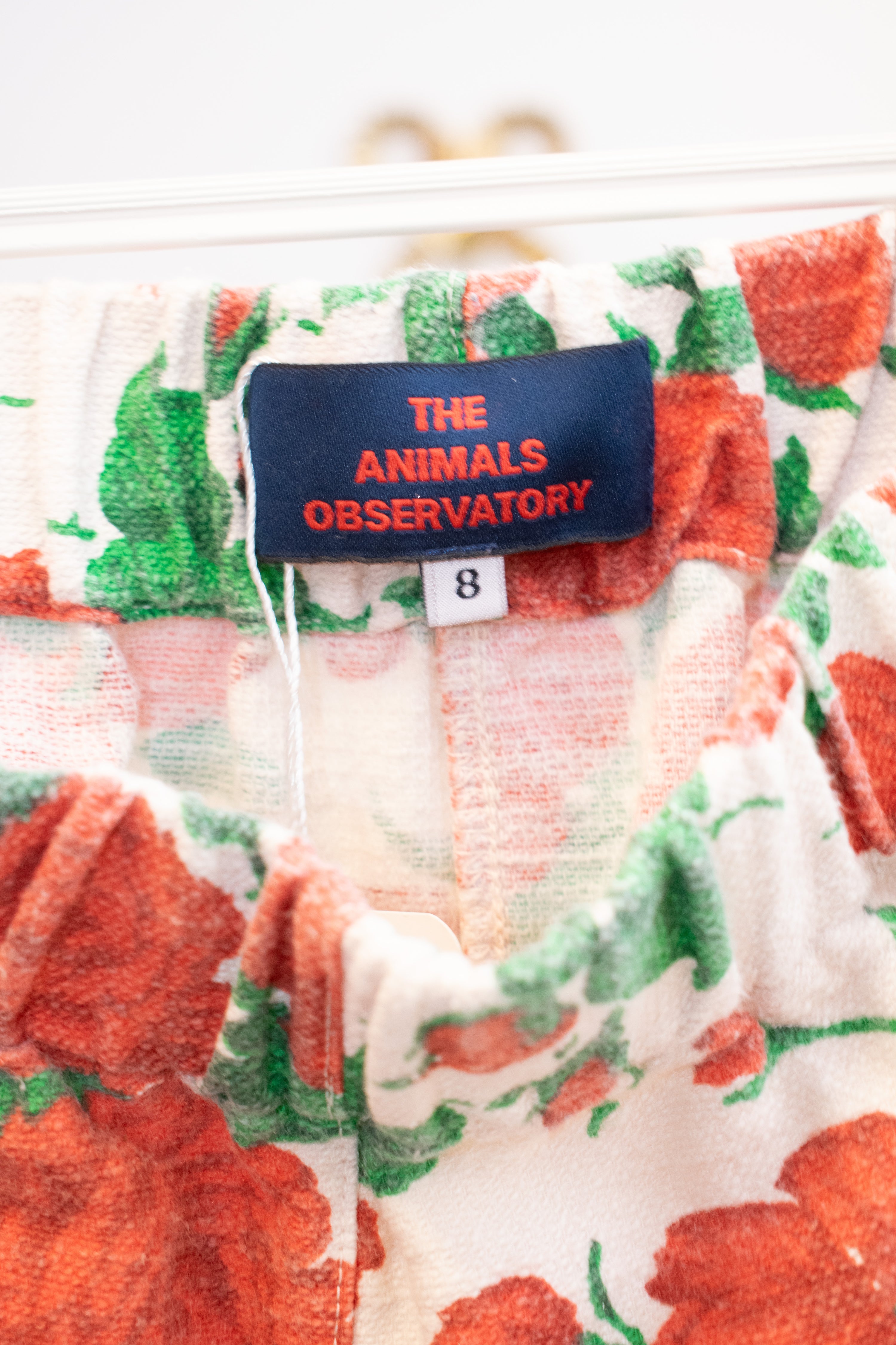 The Animals Observatory Rose Shorts / 8