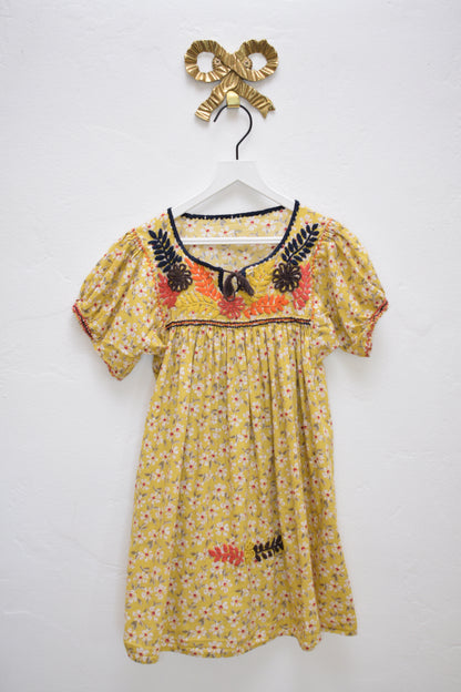 ASA "Garden in Fall" Dress / 2-3 Years