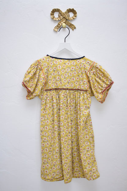 ASA "Garden in Fall" Dress / 2-3 Years