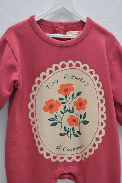 Tiny Cottons Tiny Flowers Sweatsuit / 24 months