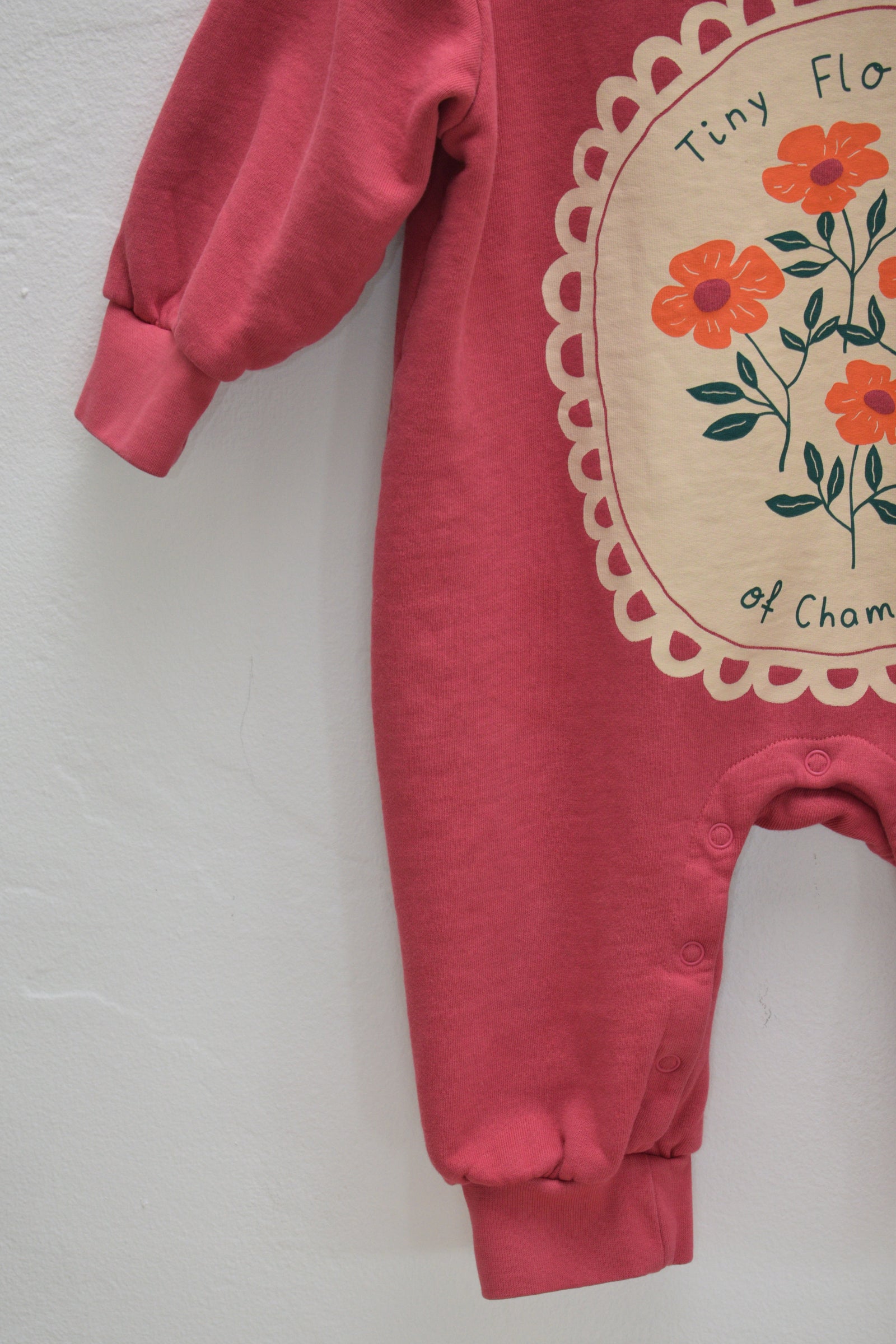 Tiny Cottons Tiny Flowers Sweatsuit / 24 months
