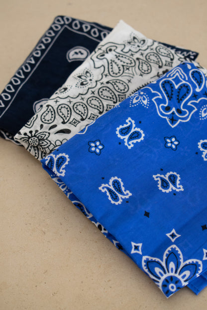 Blue Bandana Bundle
