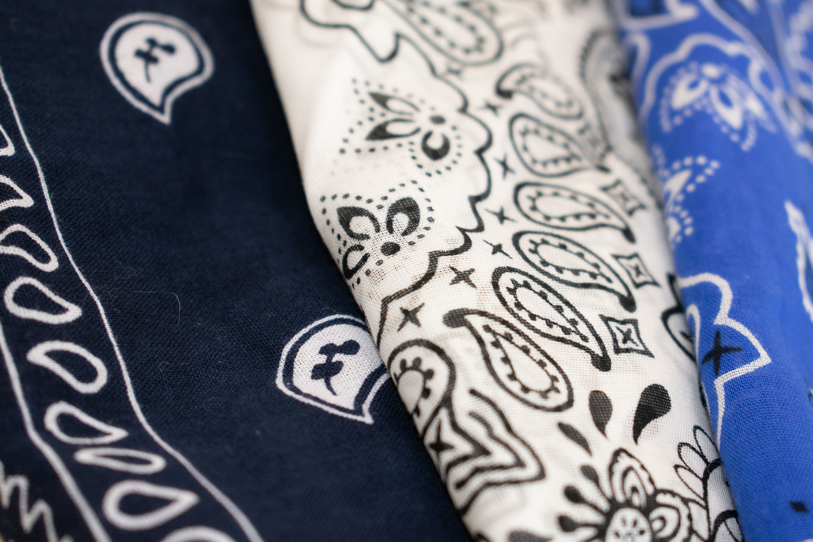 Blue Bandana Bundle