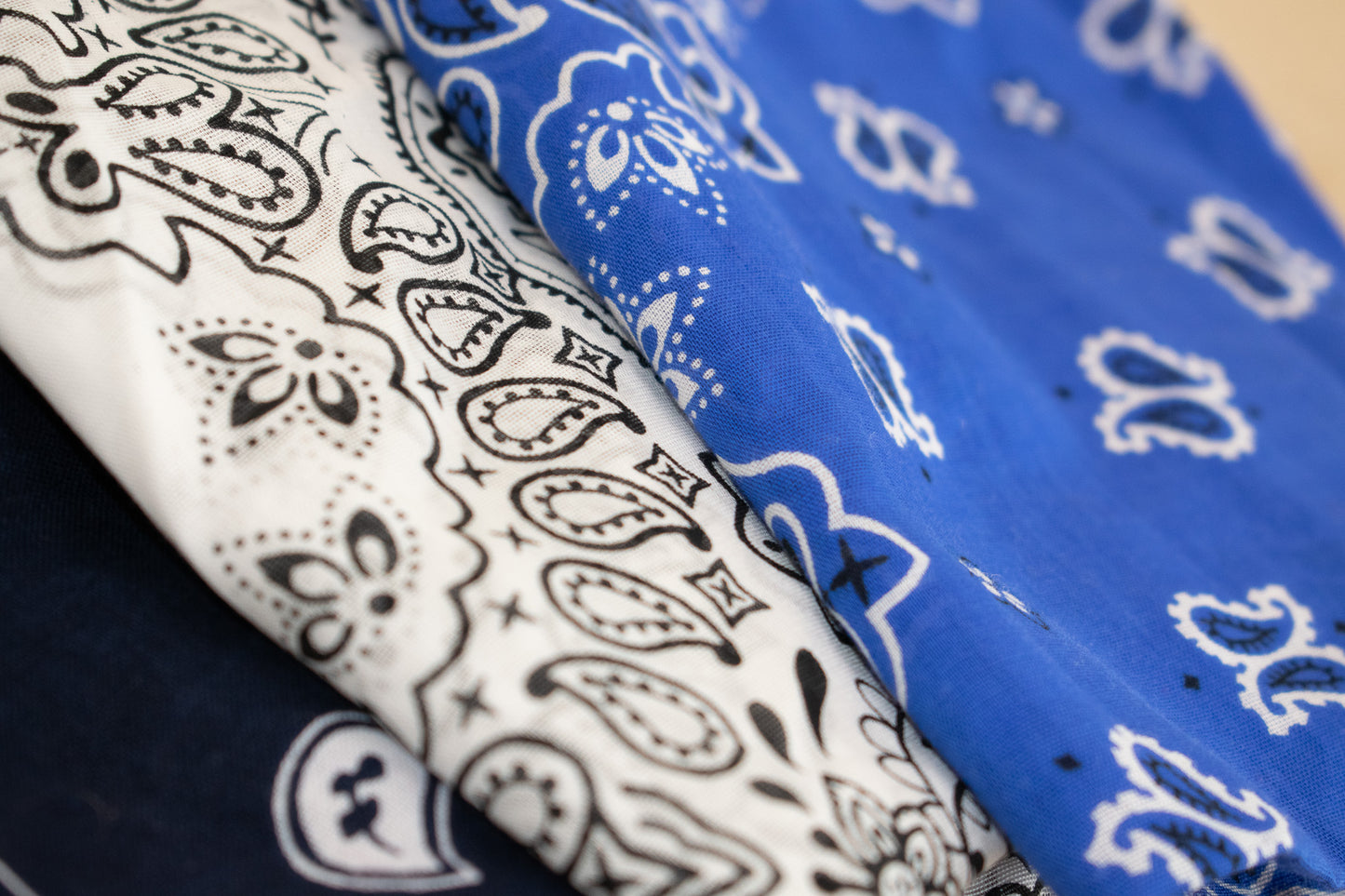 Blue Bandana Bundle
