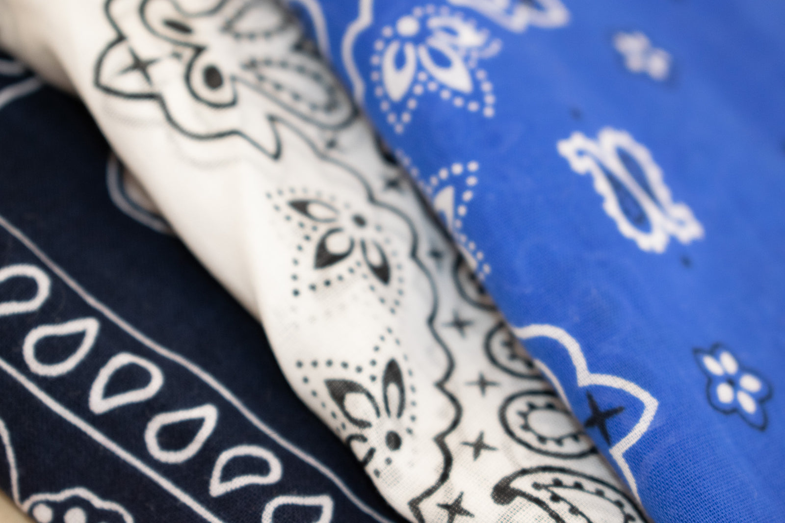Blue Bandana Bundle