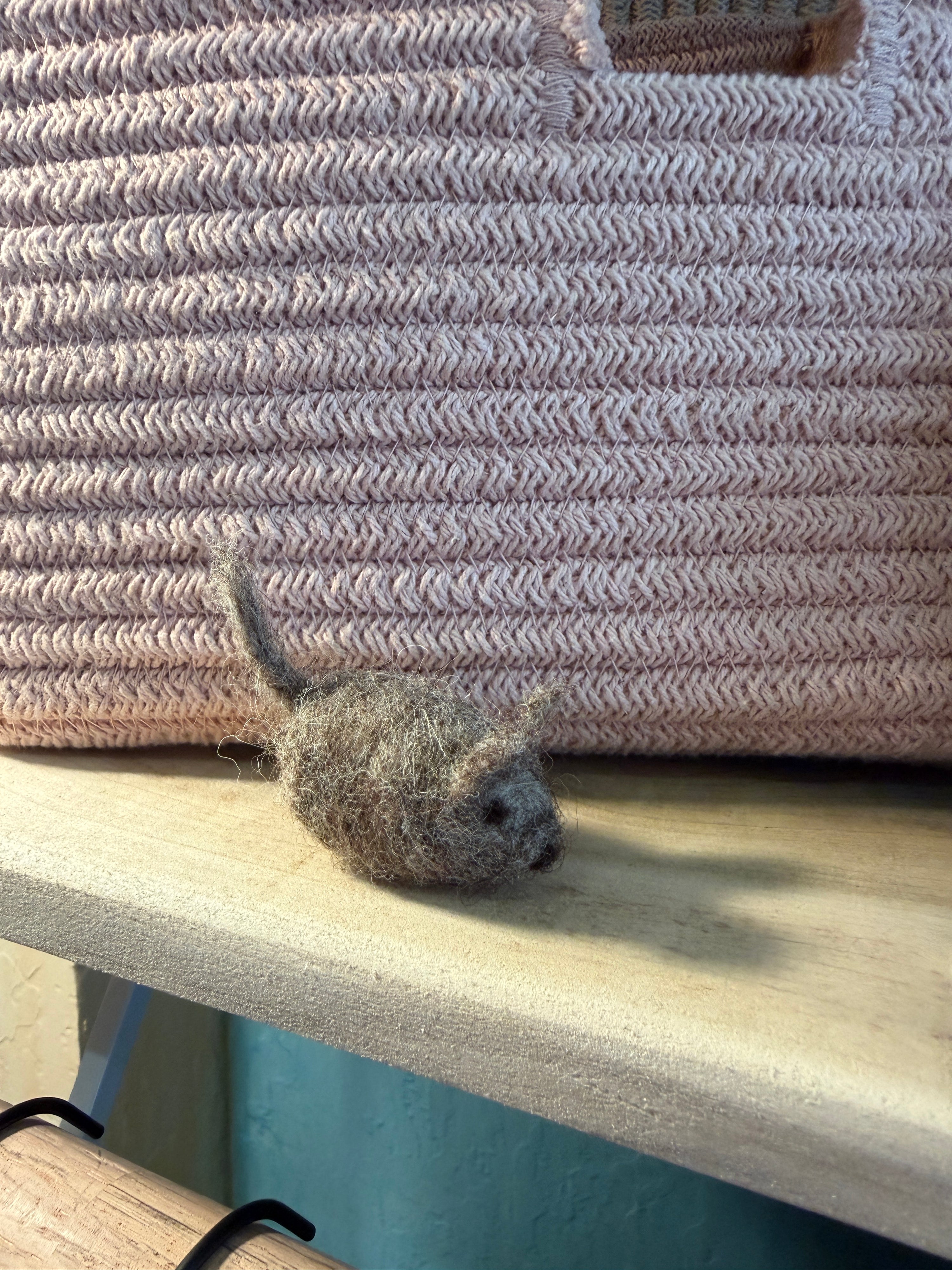 Grownups Needle Felt a Mouse with Teacher Julianna (Saturday)